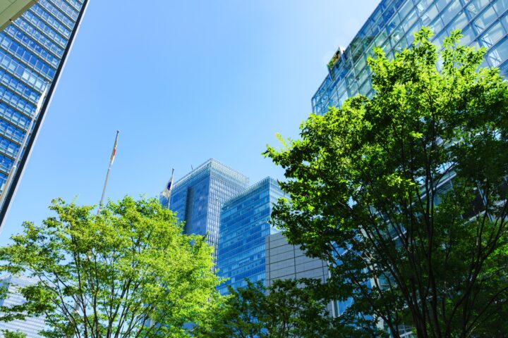 WEBサイトリニューアル公開のお知らせの画像