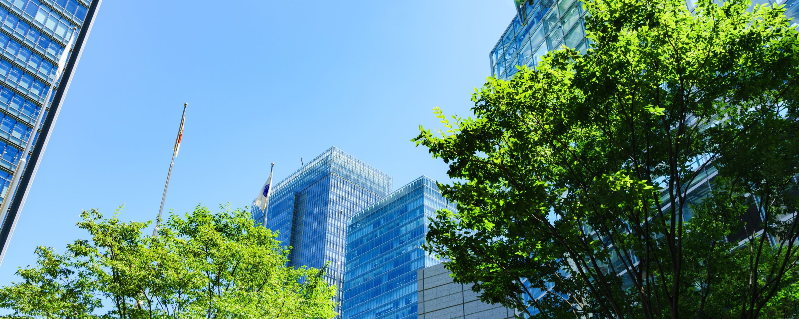 東京・日本橋の弁護士｜顧問弁護士なら竹田・渡邉法律事務所